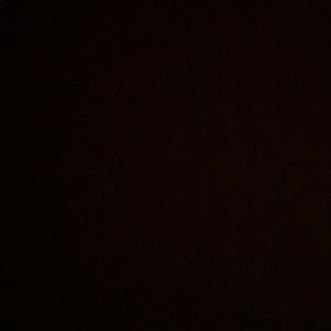 Meet your Posher, Elly